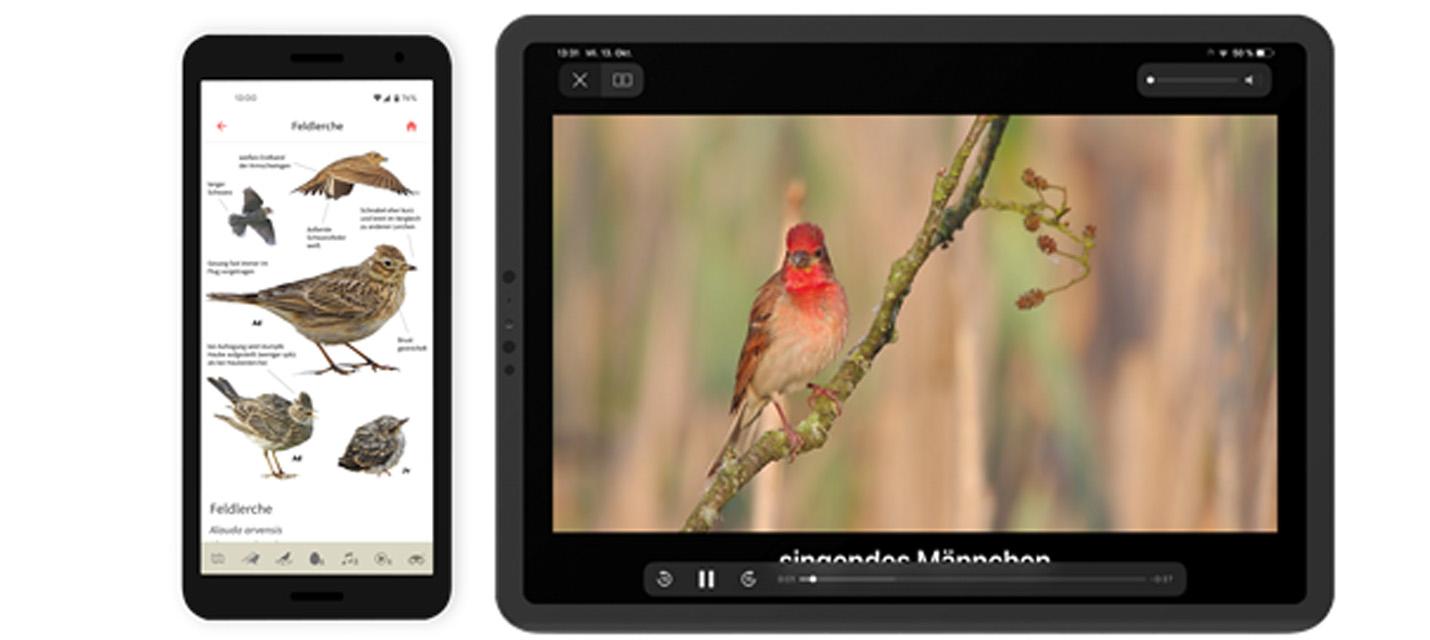 BirdLife Schweiz App