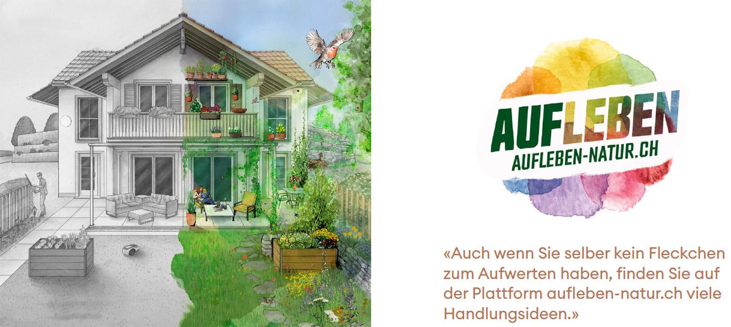 Aufleben